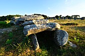 France, Morbihan, Carnac, row of megalithic standing stones at Kermario