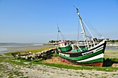 France, Somme, Baie de Somme, Le Crotoy at low tidey, Saint-Antoine de Padoue trawler, emblem of the maritime soul of Le Crotoy