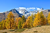 Schweiz, Kanton Wallis, Zermatt, Findelntal und Walliser Alpen, Gipfel Dent Blanche und Oberes Gabelhorn