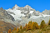 Schweiz, Kanton Wallis, Zermatt, Findelntal und Walliser Alpen, Obergabelhorn (4063 m) und Wellenkuppe