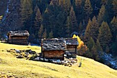 Schweiz, Kanton Wallis, Zermatt, Weiler Findeln am Fusse des Matterhorns