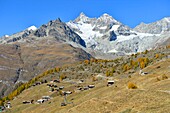 Switzerland, canton of Valais, Zermatt, hamlet Findeln at the foot of the Matterhorn with in the background the Obergabelhorn (4063 m) and Wellenkuppe peaks