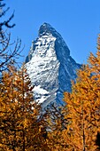 Switzerland, canton of Valais, Zermatt, the Matterhorn (4478m)