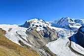 Schweiz, Kanton Wallis, Zermatt, Gornergrat (3100 m), Monte-Rosa-Gletscher und Monte Rosa (4634m) und Grenzgletscher