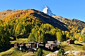 Schweiz, Kanton Wallis, Zermatt, Weiler Blatten (1738) vor dem Matterhorn (4478m)