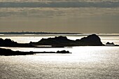 France, Finistere, Morlaix bay, Plougasnou, Pointe de Diben