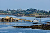 Frankreich, Finistere, Iroise-Meer, Roscoff, im Hintergrund die Insel Batz, Einfahrt zur Insel Batz