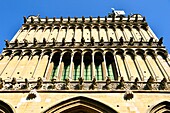 France, Cote d'Or, Dijon, area listed as World Heritage by UNESCO, Notre Dame Church, gargoyles