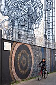 France, Isere, Grenoble, Cours Berriat, frescoes created during the Grenoble Street-Art Fest 2017