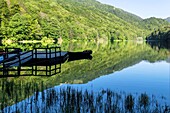 Montenegro, Kolasin region, national park of Biogradska, ice lake of Biogradska Gora