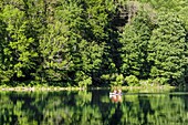 Montenegro, Kolasin region, national park of Biogradska, ice lake of Biogradska Gora