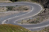 France, Savoie, Massif des Cerces, Valloire, cycling ascension of the Col du Galibier, one of the routes of the largest bike domain in the world, a winding road with beautiful curves, last turns before the summit