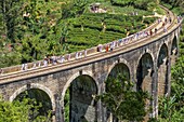 Sri Lanka, Uva province, Demodara (surroundings of Ella), the Nine Arches Bridge built in 1921 under the Bristish colonial-era