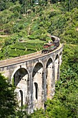 Sri Lanka, Uva province, Demodara (surroundings of Ella), the Nine Arches Bridge built in 1921 under the Bristish colonial-era