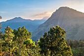 Sri Lanka, Uva province, Ella, Ella Rock seen from the Little Adam's Peak