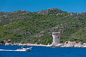 France, Haute Corse, Agriates desert, Gulf of Saint Florent, Mortella tower