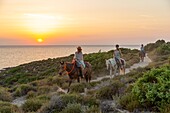 France, Haute Corse, Nebbio, Agriates desert, Anse de Peraiola, riders east of Ostriconi beach