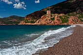 France, Corse du Sud, Gulf of Porto, listed as World Heritage by UNESCO, Porto, Genoese tower