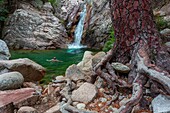 Frankreich, Corse du Sud, Bavella, Purcaraccia-Schlucht