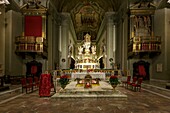 Italy, Tuscany, Siena, historical center listed as World Heritage by UNESCO, 117th century San Martino church in Baroque style, the altar