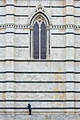 Italy, Tuscany, Siena, historical center listed as World Heritage by UNESCO, facade of Notre Dame de l'Assomption cathedral