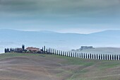 Italien, Toskana, Val d'Orcia, von der UNESCO zum Weltkulturerbe erklärt, Bagno Vignoni, San Quirico d'Orcia, ländliche Landschaft