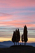 Italy, Tuscany, Val d'Orcia listed as World Heritage by UNESCO, San Quirico d'Orcia, cypresses and cross at sunrise