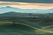 Italy, Tuscany, Val d'Orcia listed as World Heritage by UNESCO, San Quirico d'Orcia, sunrise at the place called the Belvedere