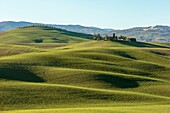 Italy, Tuscany, Val d'Orcia listed as World Heritage by UNESCO, Pienza, San Quirico d'Orcia, countryside landscape