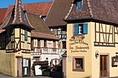 Frankreich, Haut Rhin, Eguisheim, Bezeichnung Les Plus Beaux Villages de France (Die schönsten Dörfer Frankreichs), Weingut Freudenreich Joseph et Fils