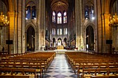 Frankreich, Paris, Weltkulturerbe der UNESCO, Île de la Cité (Stadtinsel), Kathedrale Notre Dame, aufgenommen am Morgen des Brandes am 15/04/2019