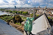 France, Paris, area listed as World Heritage by UNESCO, Ile de la Cite, the Notre Dame Cathedral, the spire dominates the statues of green copper of twelve apostles with the symbols of four evangelists, Viollet-le-Duc has represented himself under saint Thomas's features with his set square
