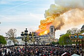 France, Paris, area listed as World Heritage by UNESCO, Ile de la Cite, Notre-Dame Cathedral, the big fire that ravaged the cathedral on April 15, 2019