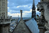 France, Paris, area listed as World Heritage by UNESCO, Ile de la Cite, Notre Dame Cathedral, the chimeras observe the city