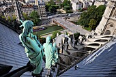France, Paris, area listed as World Heritage by UNESCO, Ile de la Cite, Notre Dame Cathedral seen from the spire that dominates the statues of green copper of twelve apostles