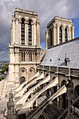 France, Paris, area listed as World Heritage by UNESCO, ile de la Cite, Notre-Dame Cathedral