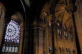 France, Paris, area listed as World Heritage by UNESCO, ile de la Cite, Notre-Dame Cathedral