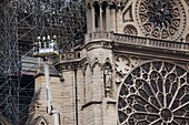 Frankreich, Paris, Kathedrale Notre Dame de Paris, Tag nach dem Brand, 16. April 2019, Feuerwehrleute begutachten den Schaden