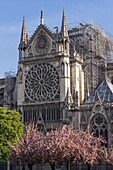 France, Paris, Notre Dame de Paris Cathedral, two days after the fire, April 17, 2019