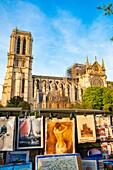 France, Paris, area listed as World Heritage by UNESCO, Ile de la Cite, Notre Dame Cathedral after the fire of April 15, 2019