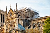 France, Paris, area listed as World Heritage by UNESCO, Ile de la Cite, Notre Dame Cathedral after the fire of April 15, 2019