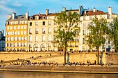 France, Paris, area listed as World Heritage by UNESCO, the banks of the Seine river