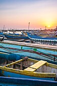 Sri Lanka, Northern province, Mannar island, Mannar city, the fishing harbour