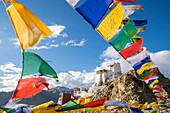 Indien, Bundesstaat Jammu und Kaschmir, Himalaya, Ladakh, Indus-Tal, Leh (3500m), Hauptstadt der Region, buddhistisches Kloster Namgyal Tsemo und Gebetsfahnen