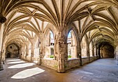 France, Lot, Quercy, Cahors, cloister of Saint Etienne Cathedral, listed as World Heritage by UNESCO, Lot valley