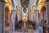 France, Aveyron, Rodez, the choir stalls, Notre Dame cathedral, XIIth century to the XVIth century