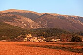 France, Alpes de Haute Provence, Verdon Regional Nature Park, Valensole plateau, Saint Jurs