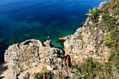 Frankreich, Alpes Maritimes, Antibes, Cap d'Antibes, Küstenpfad, Aloe arborescente und Yucca