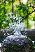 France, Alpes Maritimes, Grasse, Villa Fragonard, fountain