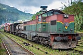 Sri Lanka, Provinz Uva, die Zugstrecke, die Badulla mit Kandy verbindet, führt durch Bergregionen und Teeplantagen, Halt in Haputale